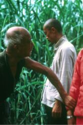 bf_un_redsorghum_still1-1